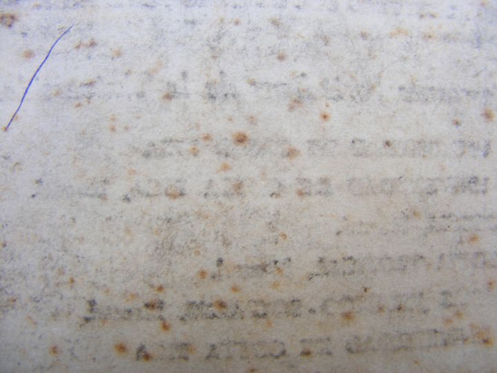 biblioteca 111 copy.jpg